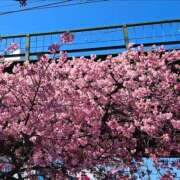 ヒメ日記 2025/03/18 16:48 投稿 あすか(Asuka) 出張メンズエステ RELAX【DIVAグループ】