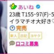 ヒメ日記 2024/03/18 07:46 投稿 あいね 日本橋・谷九サンキュー