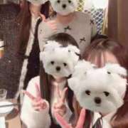 ヒメ日記 2024/12/26 21:21 投稿 ゆいか ポッキリ学園 ～モテモテハーレムごっこ～