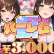 ヒメ日記 2025/02/20 16:41 投稿 ゆいか ポッキリ学園 ～モテモテハーレムごっこ～