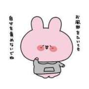 ヒメ日記 2025/02/24 20:31 投稿 ゆいか ポッキリ学園 ～モテモテハーレムごっこ～