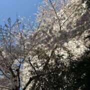 ヒメ日記 2025/04/06 17:01 投稿 ゆいか ポッキリ学園 ～モテモテハーレムごっこ～