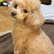 ヒメ日記 2025/05/10 15:51 投稿 ゆいか ポッキリ学園 ～モテモテハーレムごっこ～