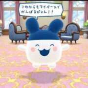 ヒメ日記 2025/06/30 08:51 投稿 ゆいか ポッキリ学園 ～モテモテハーレムごっこ～