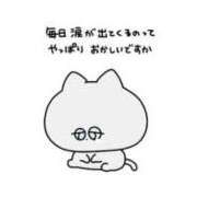 ヒメ日記 2025/10/16 23:01 投稿 ゆいか ポッキリ学園 ～モテモテハーレムごっこ～