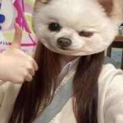 ヒメ日記 2025/11/19 08:41 投稿 ゆいか ポッキリ学園 ～モテモテハーレムごっこ～