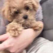 ヒメ日記 2025/01/17 19:40 投稿 りあ ごほうびSPA五反田店