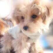 ヒメ日記 2025/02/25 07:20 投稿 りあ ごほうびSPA五反田店