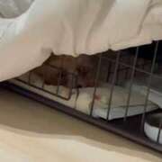 ヒメ日記 2025/03/02 00:20 投稿 りあ ごほうびSPA五反田店