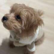 ヒメ日記 2025/03/05 15:40 投稿 りあ ごほうびSPA五反田店