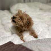 ヒメ日記 2025/03/06 04:10 投稿 りあ ごほうびSPA五反田店