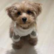 ヒメ日記 2025/03/12 07:20 投稿 りあ ごほうびSPA五反田店