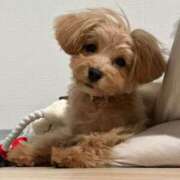 ヒメ日記 2025/03/22 02:40 投稿 りあ ごほうびSPA五反田店