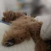 ヒメ日記 2025/05/18 20:05 投稿 りあ ごほうびSPA五反田店