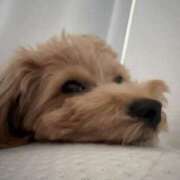 ヒメ日記 2025/07/04 14:50 投稿 りあ ごほうびSPA五反田店