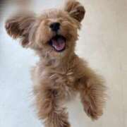 ヒメ日記 2025/07/23 20:46 投稿 りあ ごほうびSPA五反田店