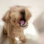 ヒメ日記 2025/09/05 21:50 投稿 りあ ごほうびSPA五反田店