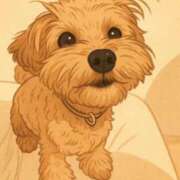 ヒメ日記 2025/09/11 02:20 投稿 りあ ごほうびSPA五反田店