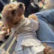 ヒメ日記 2025/10/02 18:50 投稿 りあ ごほうびSPA五反田店