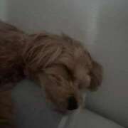 ヒメ日記 2025/10/09 14:30 投稿 りあ ごほうびSPA五反田店