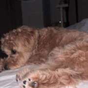 ヒメ日記 2025/10/14 01:40 投稿 りあ ごほうびSPA五反田店