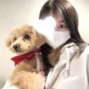 ヒメ日記 2025/11/18 12:31 投稿 りあ ごほうびSPA五反田店