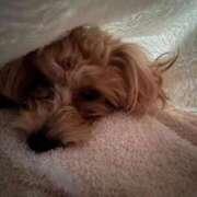 りあ 🦋おはよぉ🦋 ごほうびSPA五反田店