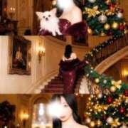 ヒメ日記 2025/12/25 20:00 投稿 りあ ごほうびSPA五反田店