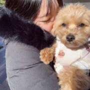 ヒメ日記 2026/01/14 19:10 投稿 りあ ごほうびSPA五反田店