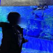 ヒメ日記 2026/01/24 15:08 投稿 りあ ごほうびSPA五反田店