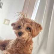 ヒメ日記 2026/02/07 12:20 投稿 りあ ごほうびSPA五反田店