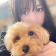 ヒメ日記 2026/02/12 12:57 投稿 りあ ごほうびSPA五反田店