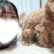 ヒメ日記 2026/02/24 10:30 投稿 りあ ごほうびSPA五反田店