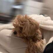 ヒメ日記 2026/02/25 12:20 投稿 りあ ごほうびSPA五反田店