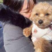 ヒメ日記 2026/03/05 12:34 投稿 りあ ごほうびSPA五反田店