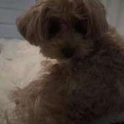 ヒメ日記 2026/03/11 12:33 投稿 りあ ごほうびSPA五反田店