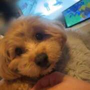 ヒメ日記 2026/03/19 07:35 投稿 りあ ごほうびSPA五反田店