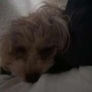 ヒメ日記 2026/03/23 21:34 投稿 りあ ごほうびSPA五反田店