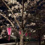 ヒメ日記 2026/04/06 13:00 投稿 りあ ごほうびSPA五反田店