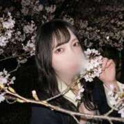 ヒメ日記 2026/04/09 19:20 投稿 りあ ごほうびSPA五反田店