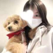 ヒメ日記 2026/04/10 14:38 投稿 りあ ごほうびSPA五反田店