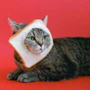 ヒメ日記 2025/03/12 10:17 投稿 なな 妻天 梅田店