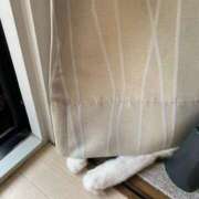 ヒメ日記 2025/06/30 16:47 投稿 なな 妻天 梅田店