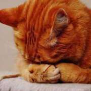 なな おはようございます 妻天 梅田店