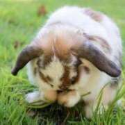 なな すみません 妻天 梅田店