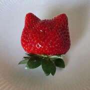 ヒメ日記 2025/03/22 14:20 投稿 岡田 熟女の風俗最終章　鶯谷店