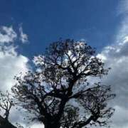 ヒメ日記 2025/02/07 14:37 投稿 れん 錦糸町人妻花壇