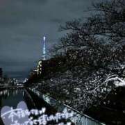 ヒメ日記 2025/04/03 15:15 投稿 れん 錦糸町人妻花壇