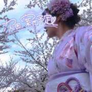 ヒメ日記 2025/04/09 16:51 投稿 れん 錦糸町人妻花壇