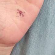 ヒメ日記 2025/06/05 07:25 投稿 美桜 モアグループ西川口人妻城